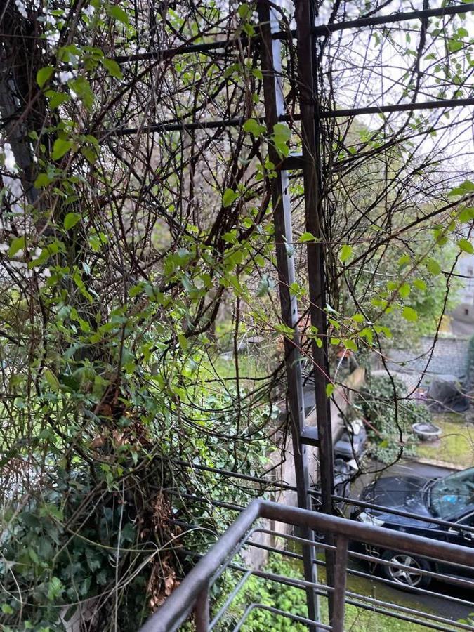 Schoene Wohnung In Zentraler Lage Im Ruhrgebiet Витен Екстериор снимка